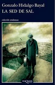 Sed de sal. Hidalgo Bayal