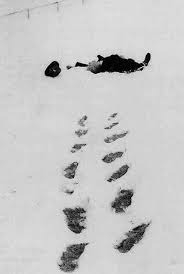 Robert Walser muerto