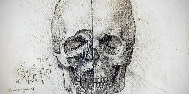 Leonardo-da-Vinci-calavera